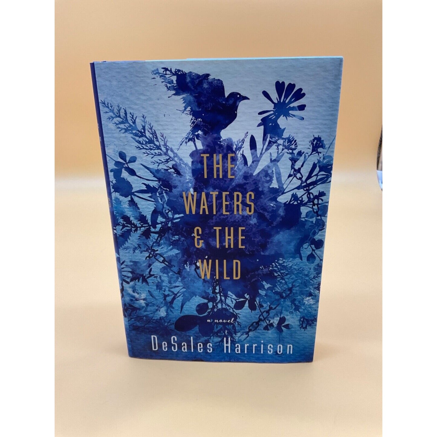 The Waters & The Wild by Desales Harrison Hardcover 2018 Psychological Thriller