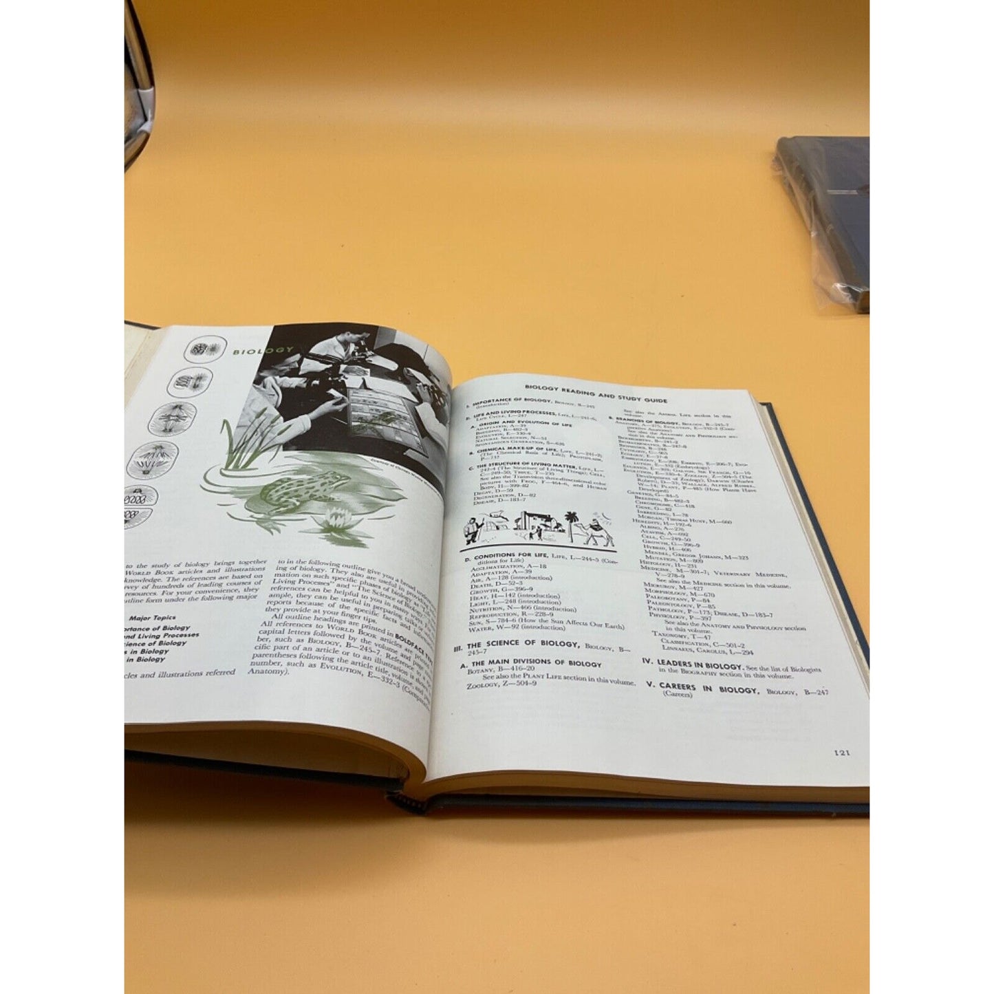 World Book Encyclopedia 1961 Reading & Study Guide Volume 20 Vintage Collectible