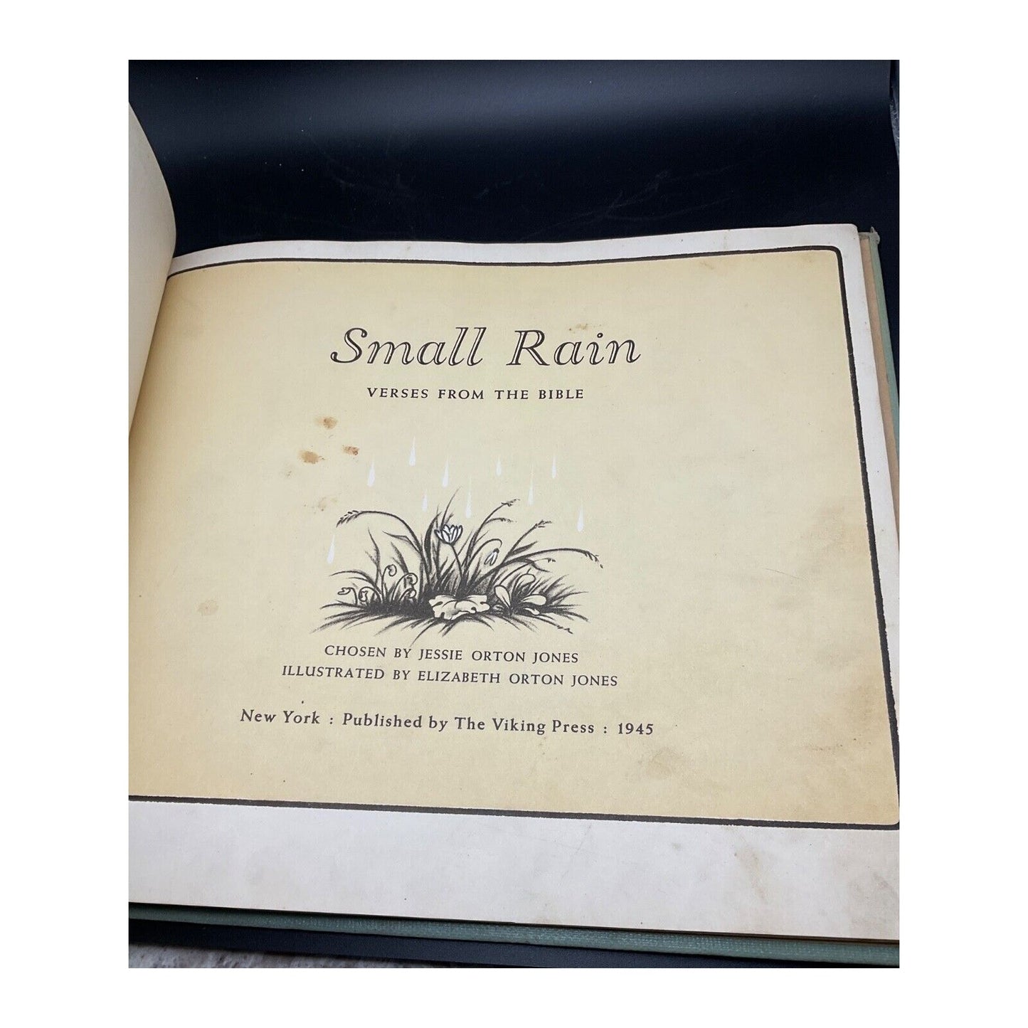 1945 Small Rain Verses Bible Jessie Orton Jones Illus Hardcover 5th Edition
