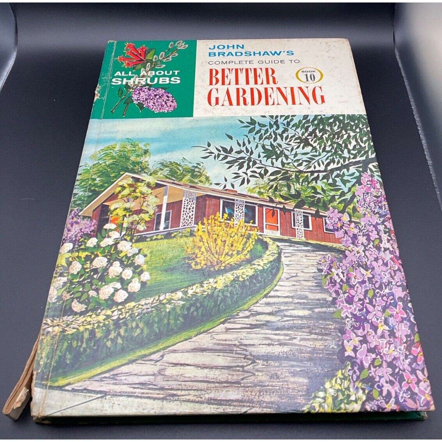 VTG 1960s John Bradshaw's Better Gardening Book 10 Shrubs & Hedges