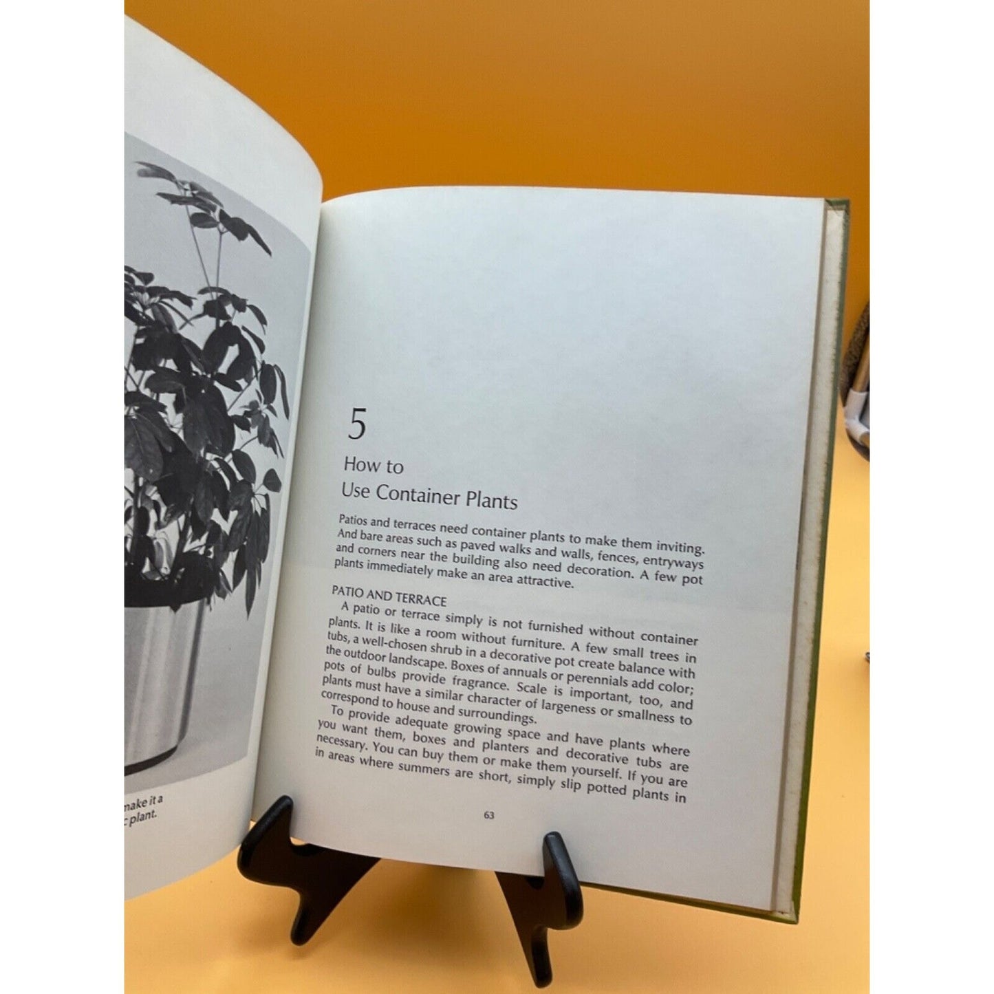 1971 Container Gardening Indoors and Out by Jack Kramer, Countryside Living