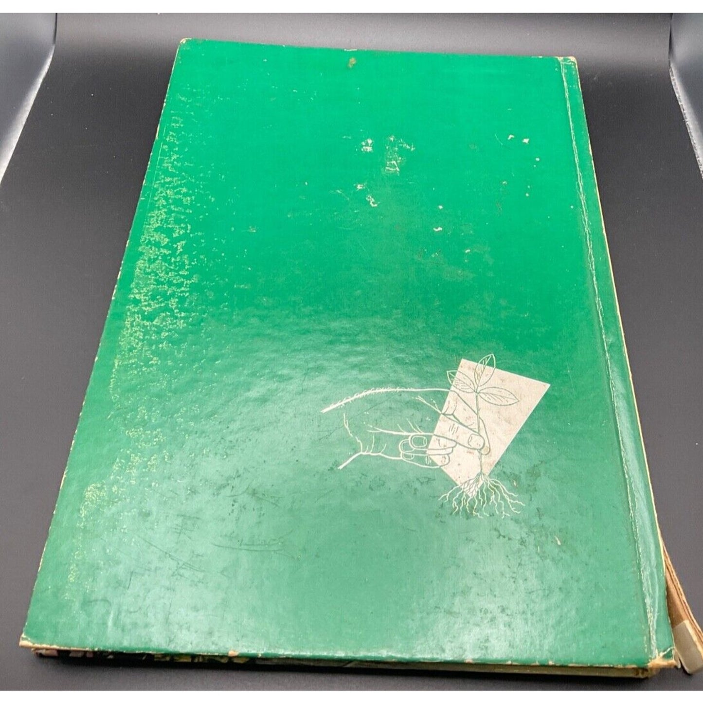 VTG 1960s John Bradshaw's Better Gardening Book 10 Shrubs & Hedges